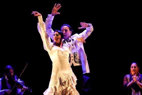 Día Mundial del Flamenco con el espectáculo de baile “Bodas de Plata”